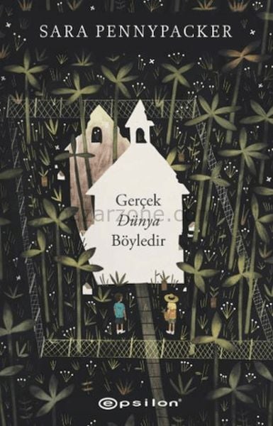 Gerçek Dünya Böyledir