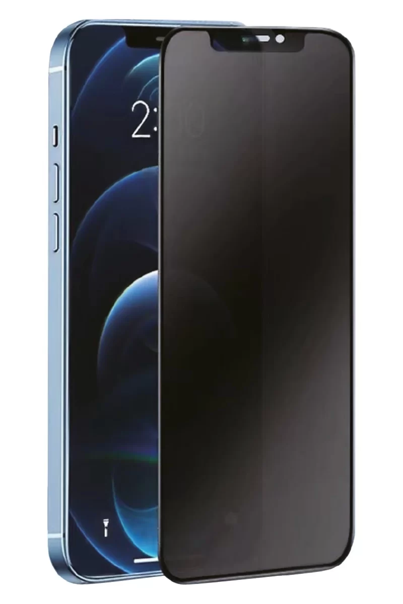 Newface Samsung Galaxy S24 3D Antistatik Hayalet Cam Ekran Koruyucu
