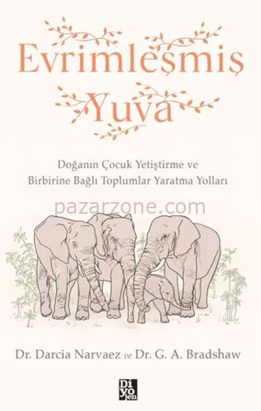 Evrimleşmiş Yuva