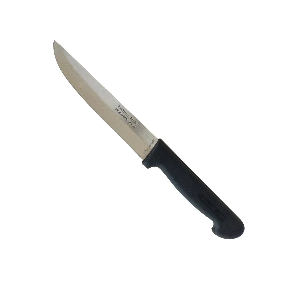 Hayruş Mert Paslanmaz Bursa Mutfak, Ekmek Bıçağı 14 Cm, Plastik Sap