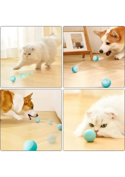 Şarjlı Kedi Oyuncağı