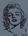 Rich New Seri N-420 Stencil 35x25 cm