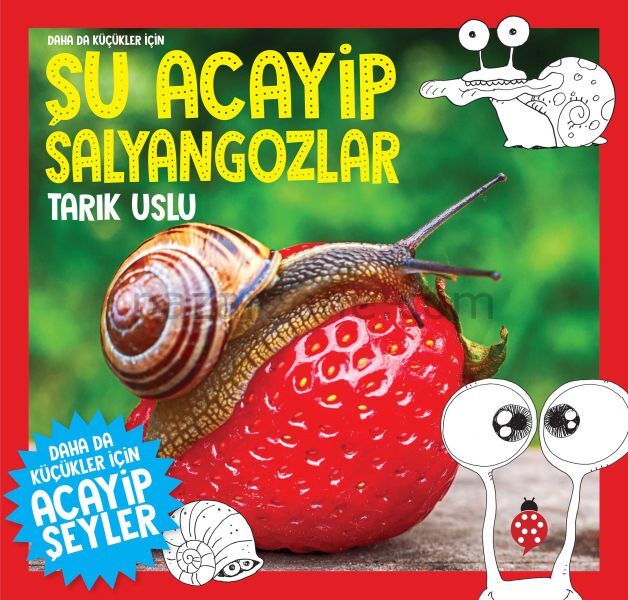 Daha Küçükler İçin Şu Acayip Salyangozlar