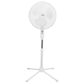 EVEREST FAN10, BEYAZ, EcoWind, 3 Kademeli Hız, 40cm 3 Kanat Pervane ve Çerçeve, 45W, Otomatik Salınım, Yükseklik Ayarlı Vantilatör