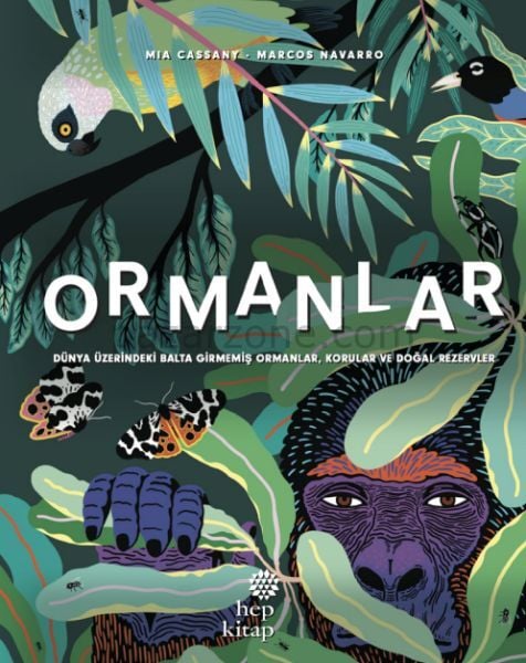 Ormanlar - Dünya Üzerindeki Balta Girmemiş Ormanlar, Korular ve Doğal Rezervler