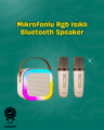 İki Mikrofonlu Renkli LED Işıklı Karaoke Cihazı