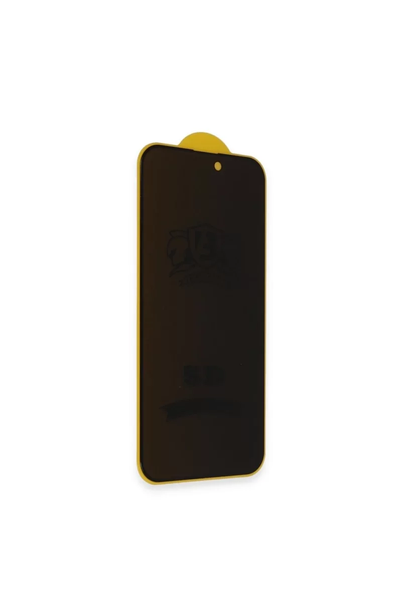 Newface Apple iPhone 16 Pro Bilvis 3D Radian Hayalet Cam Ekran Koruyucu