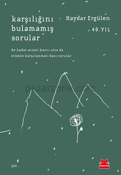 Karşılığını Bulamamış Sorular
