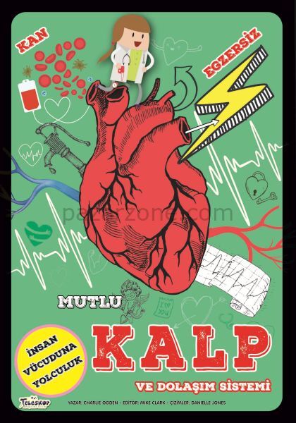 Mutlu Kalp Ve Dolaşım Sistemi
