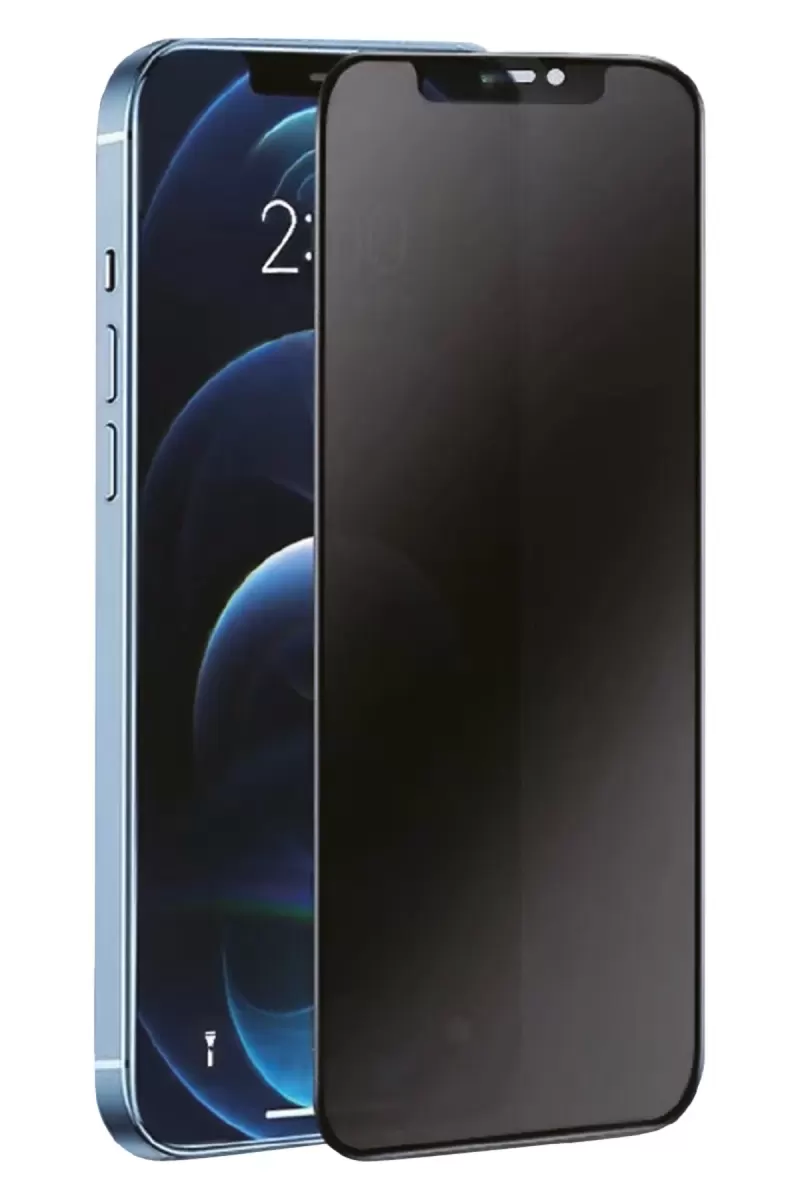 Newface Samsung Galaxy S21 FE 3D Antistatik Hayalet Cam Ekran Koruyucu