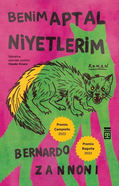 Benim Aptal Niyetlerim