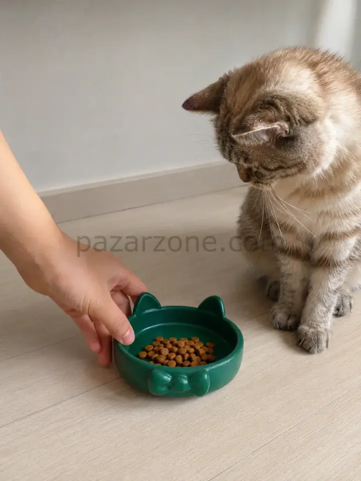 Papyon Model Beton Kedi Köpek Mama ve Su Kabı 16 cm çap - Yeşil
