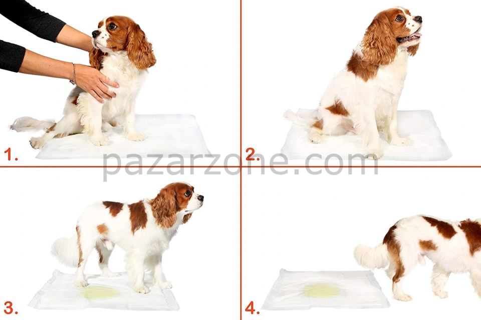 Yıkanabilir Köpek Çiş Pedi - 90 X 60 Cm 5li Paket