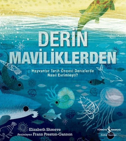 Derin Maviliklerden