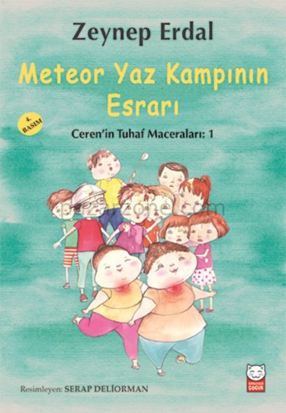 Meteor Yaz Kampının Esrarı
