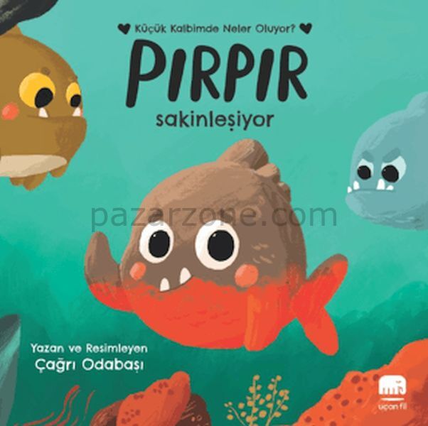 Pırpır Sakinleşiyor