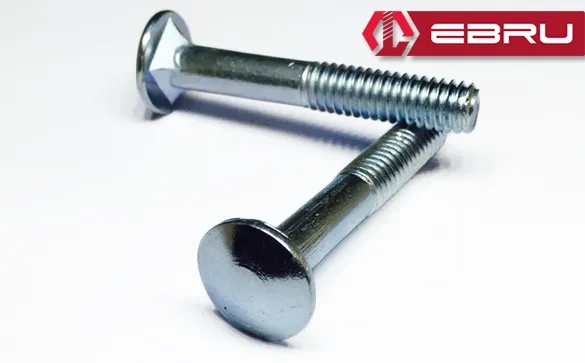 Ebru Kasa Civata 1/4x35 - 20 Adet