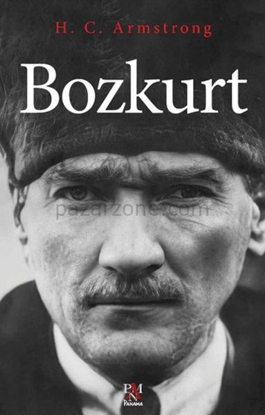 Bozkurt