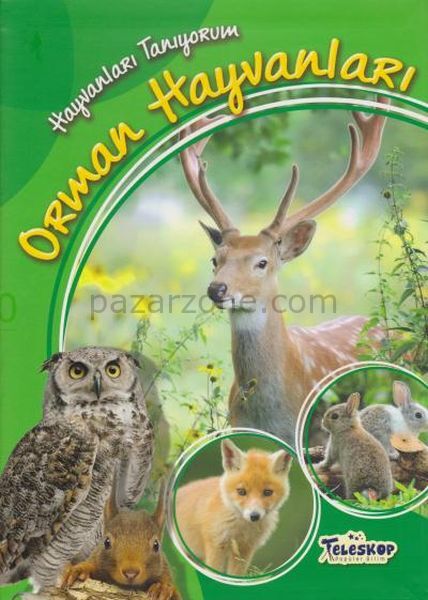Hayvanları Tanıyorum Orman Hayvanları