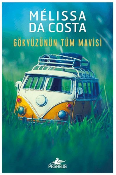 Gökyüzünün Tüm Mavisi