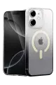Newface Apple iPhone 11 Pummel Shiny Magsafe Kapak - Siyah