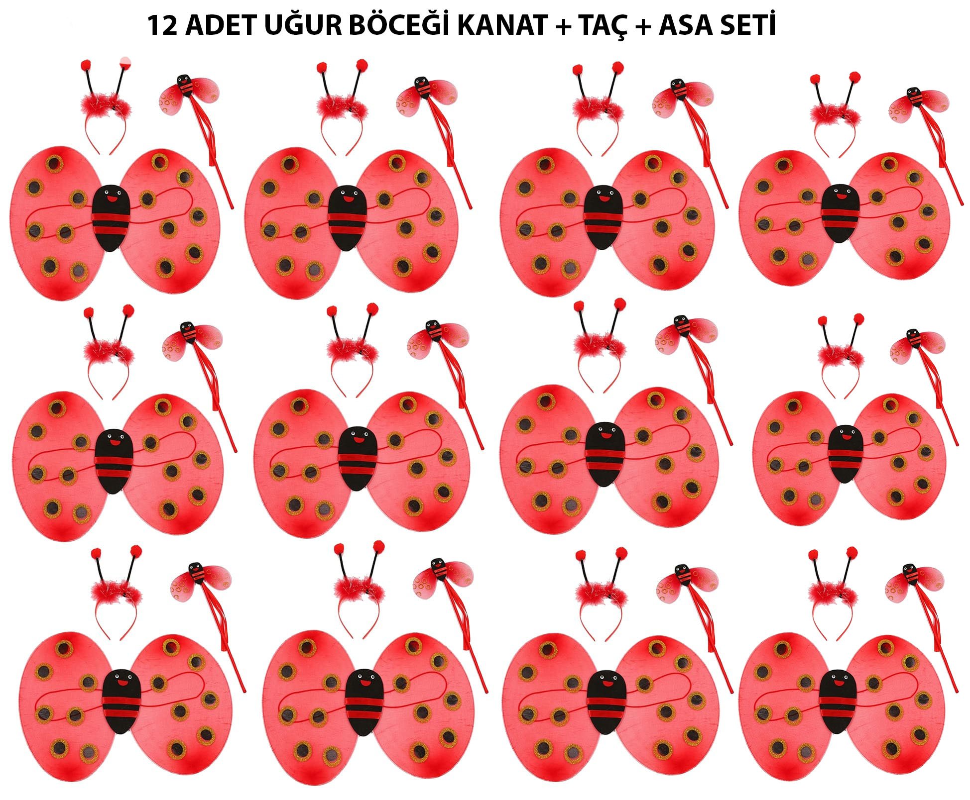 Uğur Böceği Kostüm Seti - Kanat, Taç, Asa 12 Adet