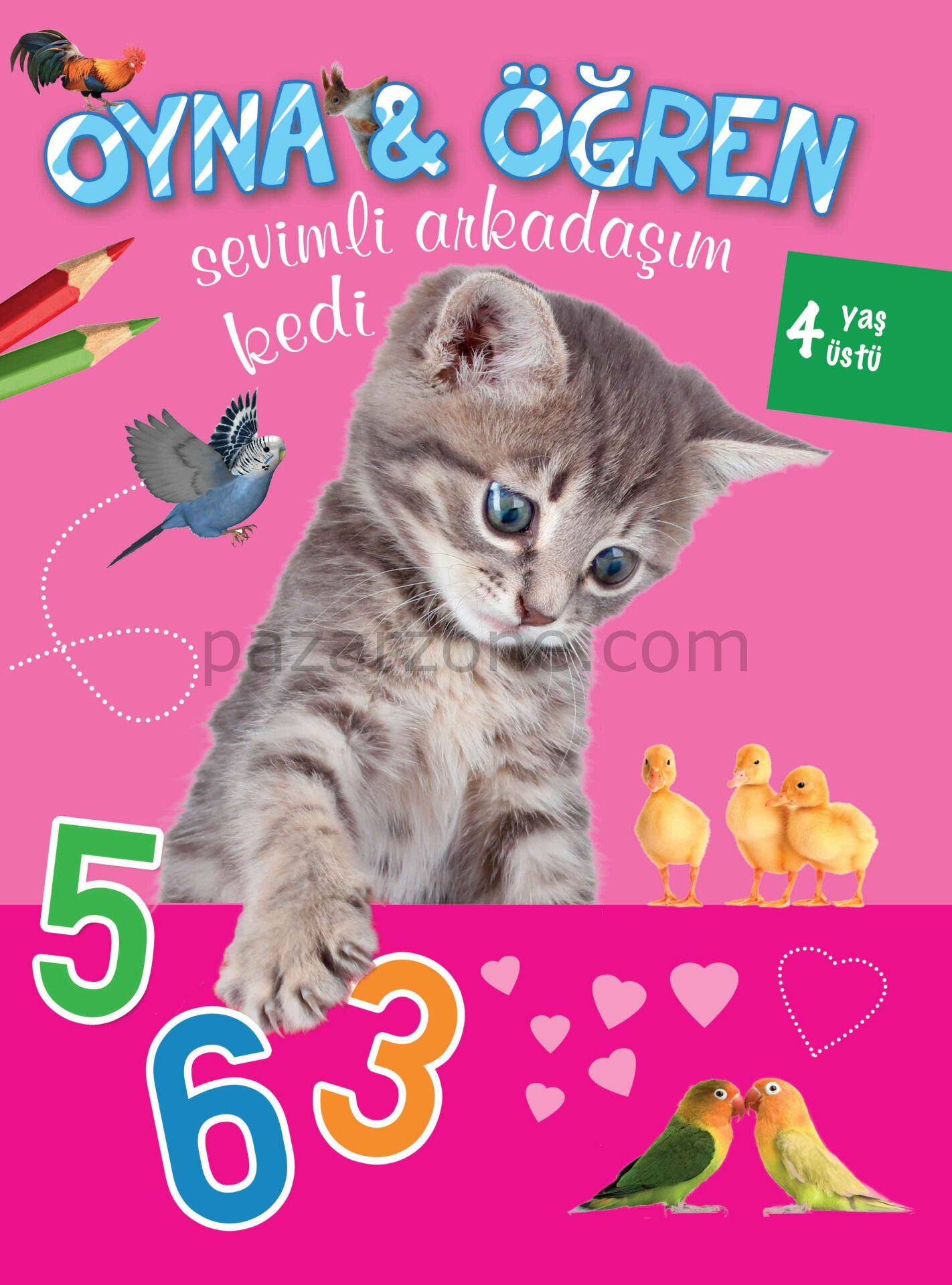 Oyna Öğren Sevimli Arkadaşım Kedi 4 Yaş Üstü